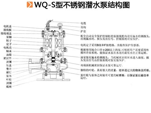WQ-S型不锈钢潜水泵结构图.jpg