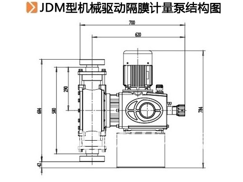 JDM型机械驱动隔膜计量泵结构图.jpg