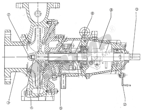 ZE化工离心泵结构图500.jpg