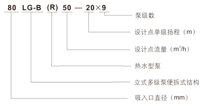 LG多级泵型号意义图400.jpg