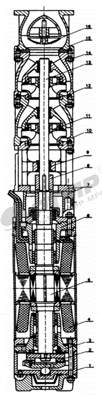 QJP型不锈钢深井泵结构图400.jpg