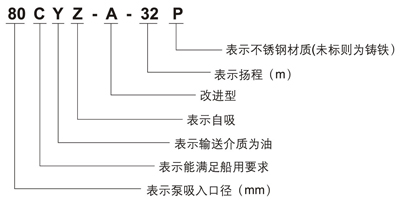 CYZ-A油泵型号意义400.jpg